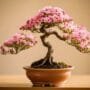 controlling bonsai flower growth