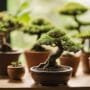 crafting miniature tree perfection