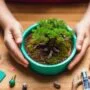 creative containers for children