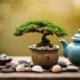 creative reuse of objects