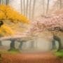 cultivating harmony with nature