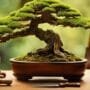 cultivating miniature tree masterpieces
