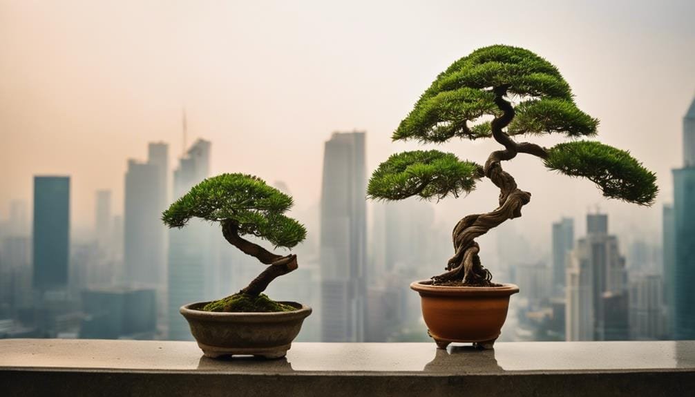 cultivating trees in cities