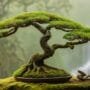 cultivating unique tree beauty