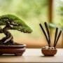 customized bonsai tree accessories