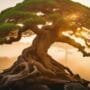 debunking bonsai tree myths