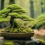 delicate trees require patience