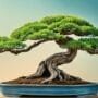 designing harmonious tree shapes