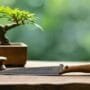 eco friendly bonsai care