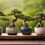 elegant containers for bonsai