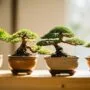 elegant trees for indoors