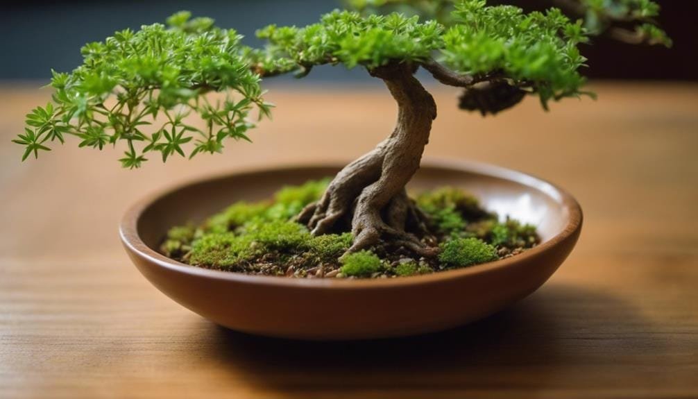 enhancing bonsai with companions