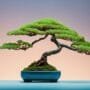 environmentally conscious bonsai option