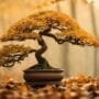 fleeting art of nature