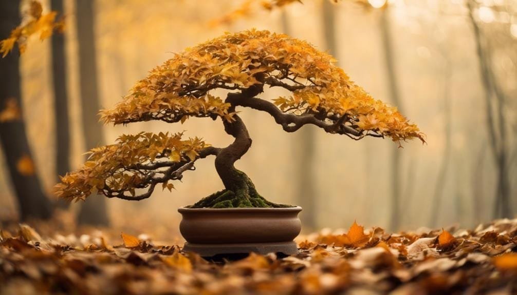 fleeting art of nature