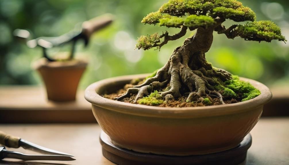 gently handling delicate tree