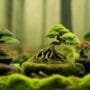 growing small scale ecosystems