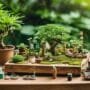 growing trees from waste