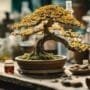 handling toxic bonsai emergencies