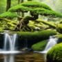 harmonious blend of nature