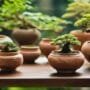 history of bonsai containers