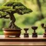 honoring bonsai artistry excellence