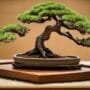 honoring roots of art