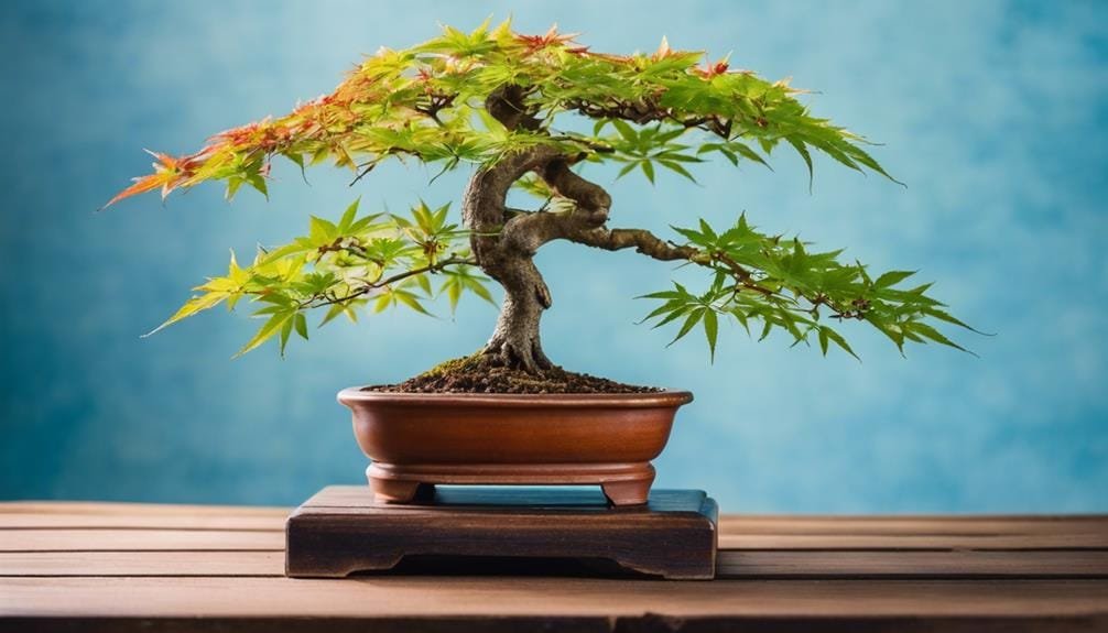 mastering bonsai fundamentals easily