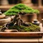 mastering bonsai tool techniques