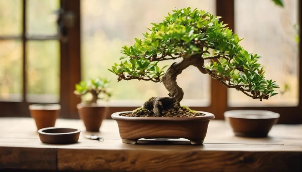 mastering bonsai tree shaping
