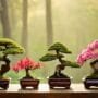 miniature flowering tree mastery