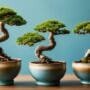 miniature tree art displays
