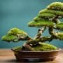 miniature tree art forms