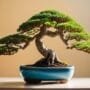 miniature tree art forms