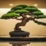 miniature tree display elegance