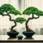 miniature trees for decor