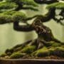 miniature trees of art