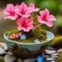 miniature trees with blooms