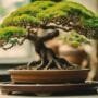 mistakes in bonsai propagation