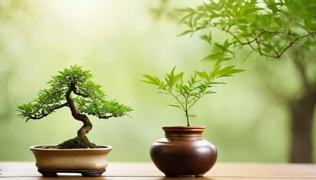 natural bonsai tree care