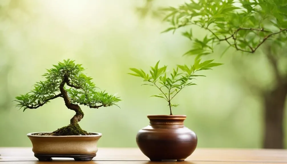 natural bonsai tree care