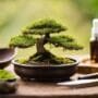 natural care for trees
