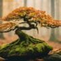 nature s resilience in harmony