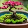 optimal bonsai nutrient supply