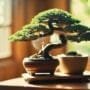 optimal indoor tree environment