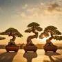optimal light for bonsai