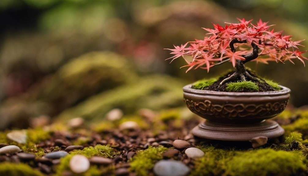 optimal soil for bonsai