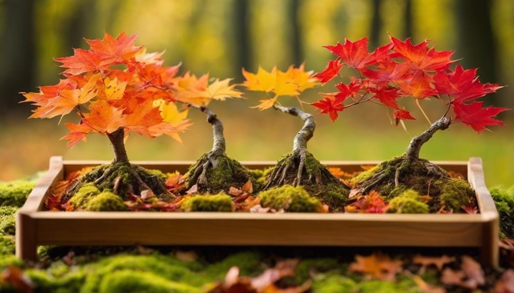 optimal soil for bonsai