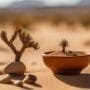 optimal soil for cacti