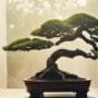 optimizing bonsai tree health